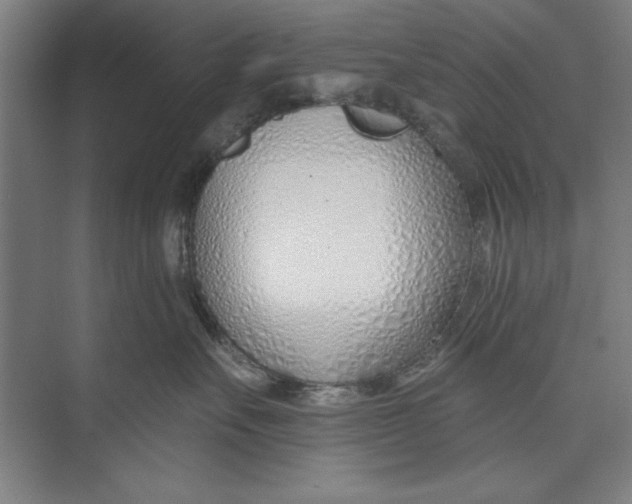 X0000074940527200609221708