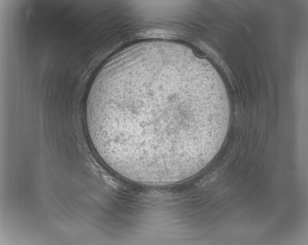 X0000074940529200609221707