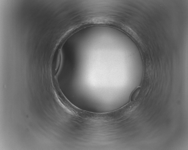 X0000074940530200609221707