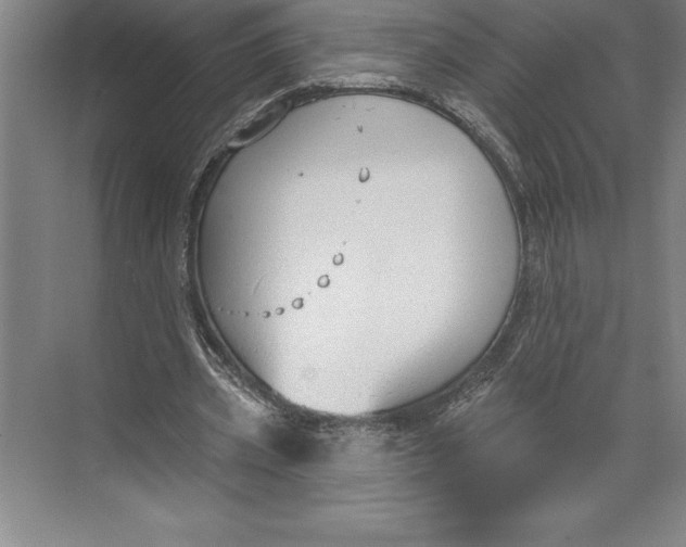 X0000074940533200609221707