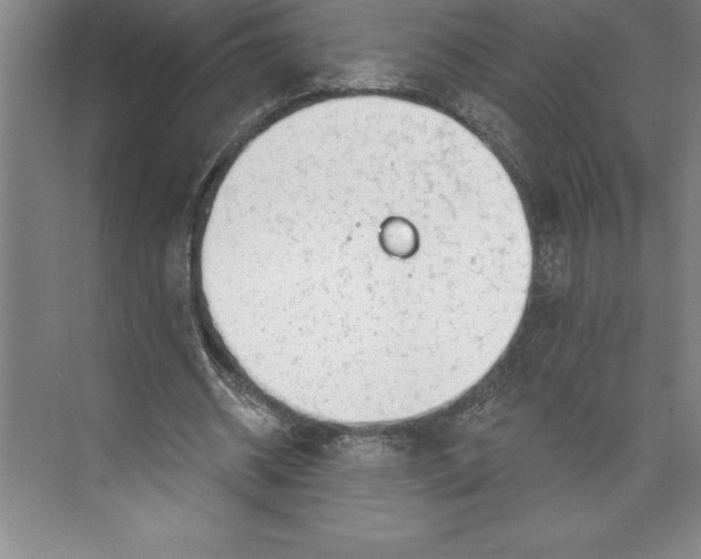 X0000074940534200609221707