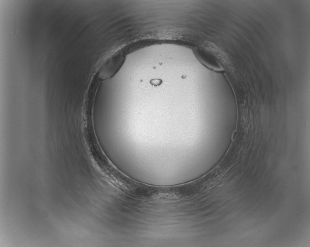 X0000074940536200609221707