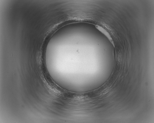 X0000074940540200609221707