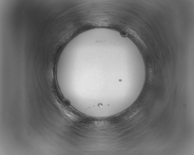 X0000074940541200609221707