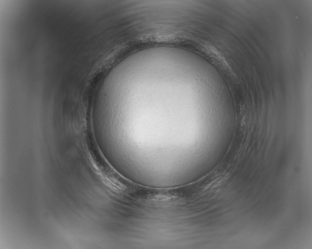 X0000074940542200609221707