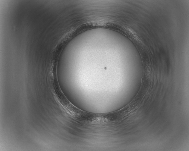 X0000074940543200609221707