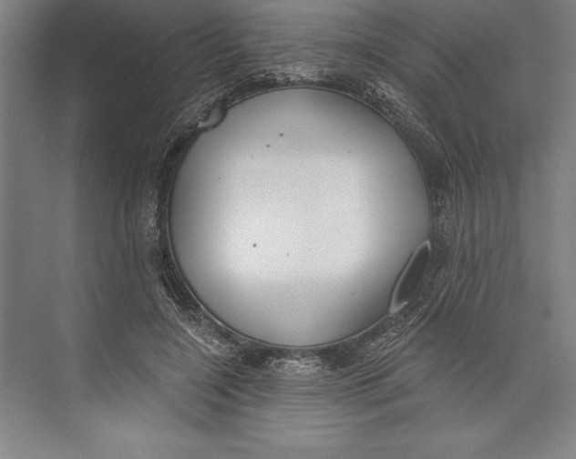 X0000074940548200609221708