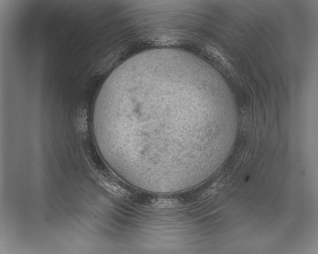 X0000074940549200609221708