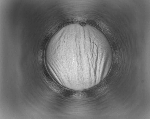 X0000074940550200609221708