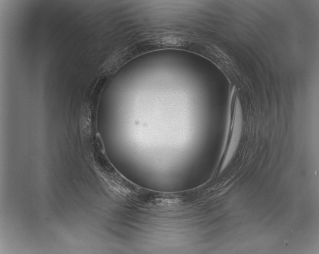 X0000074940552200609221708