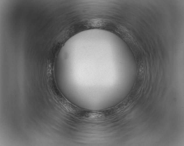 X0000074940555200609221708