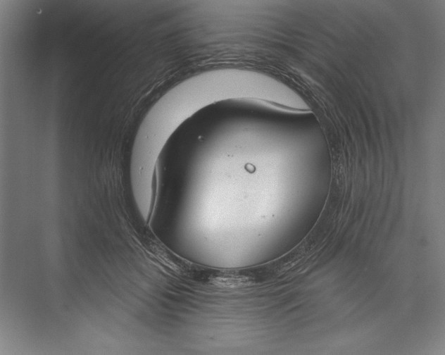 X0000074940556200609221708