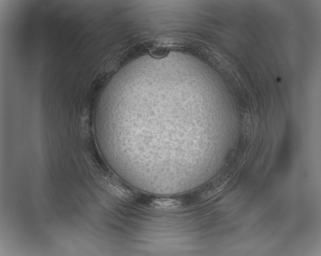 X0000074940557200609221708