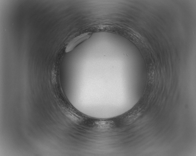 X0000074940558200609221708