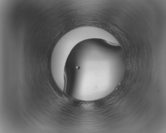 X0000074940560200609221708