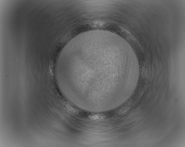 X0000074940561200609221708