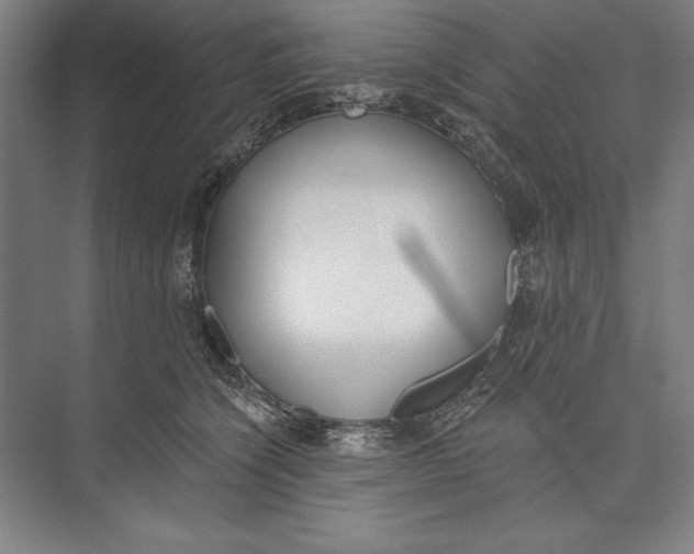 X0000074940564200609221708