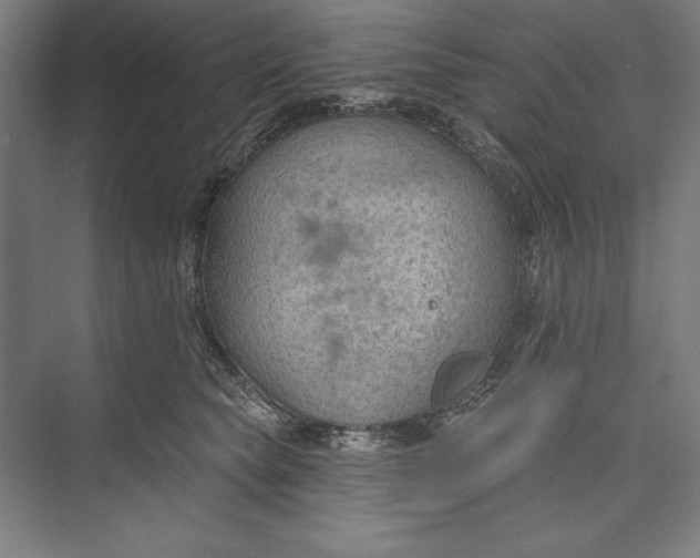 X0000074940565200609221708