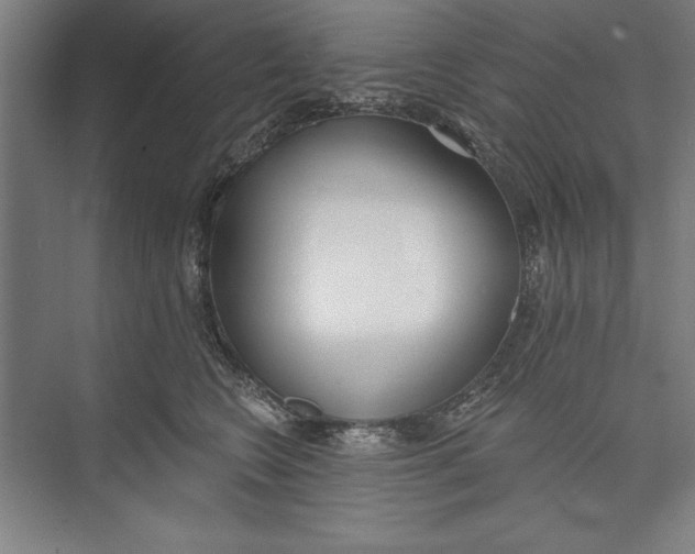 X0000074940566200609221708