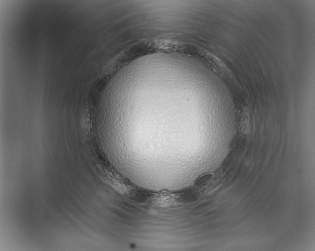 X0000074940569200609221708