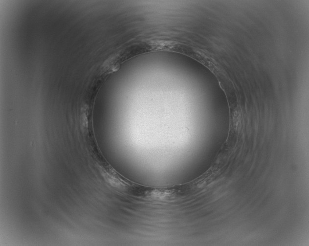 X0000074940570200609221708