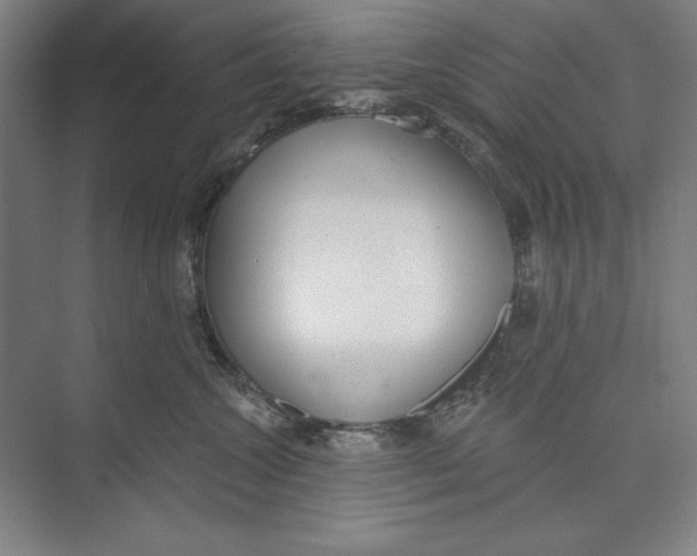 X0000074940572200609221708