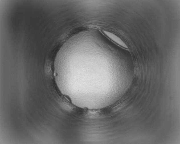 X0000074940573200609221708