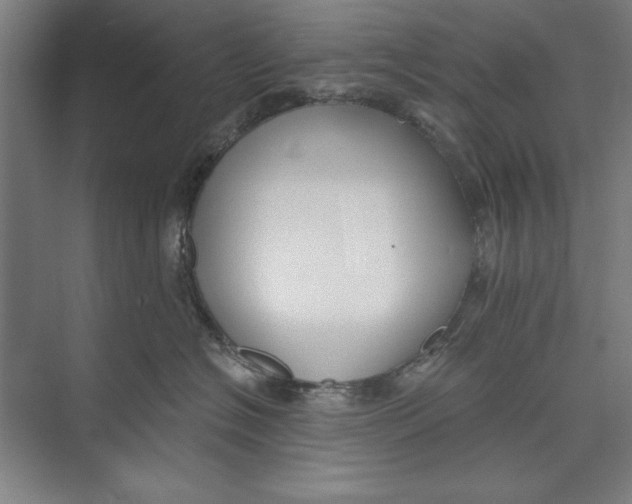 X0000074940574200609221708