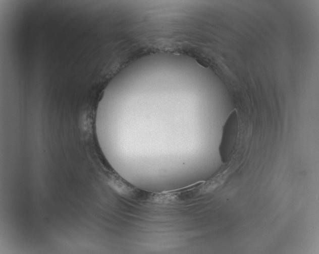 X0000074940576200609221708