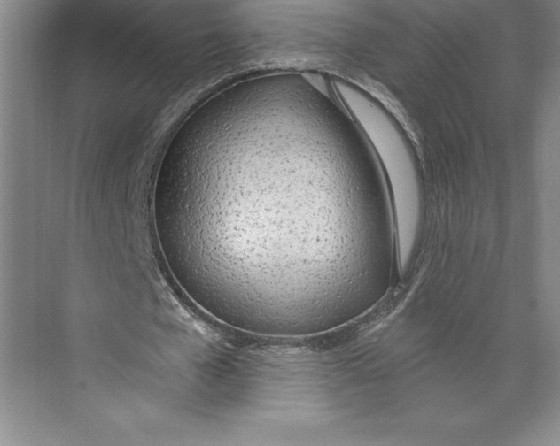 X0000074940577200609221707