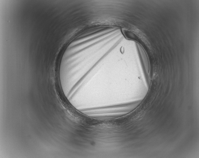 X0000074940578200609221707