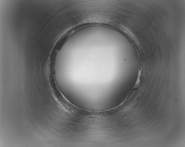 X0000074940580200609221707