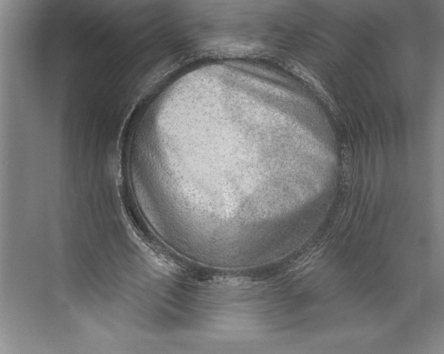 X0000074940582200609221707