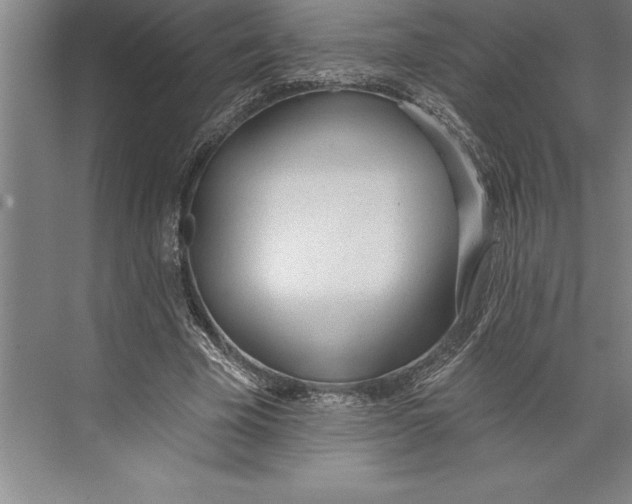 X0000074940585200609221707