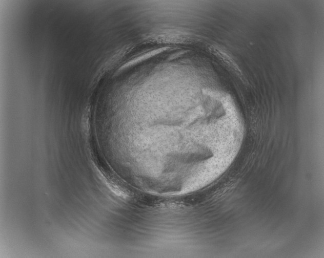 X0000074940586200609221707