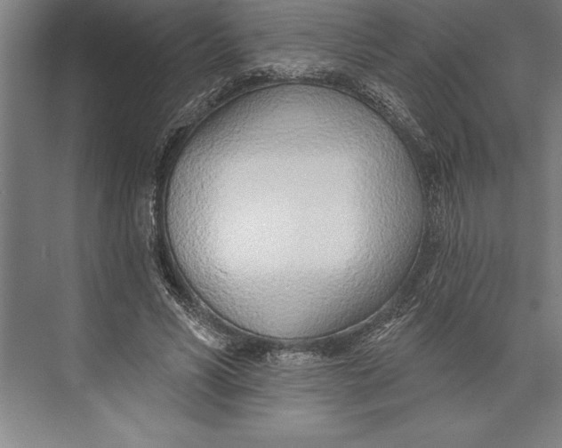 X0000074940590200609221707