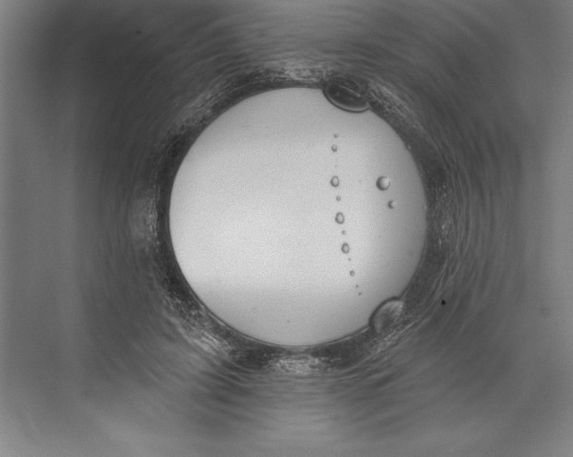 X0000074940595200609221707