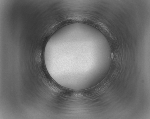 X0000074940596200609221707