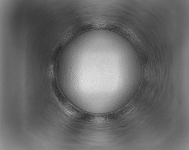 X0000074940598200609221707