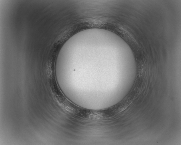 X0000074940599200609221707