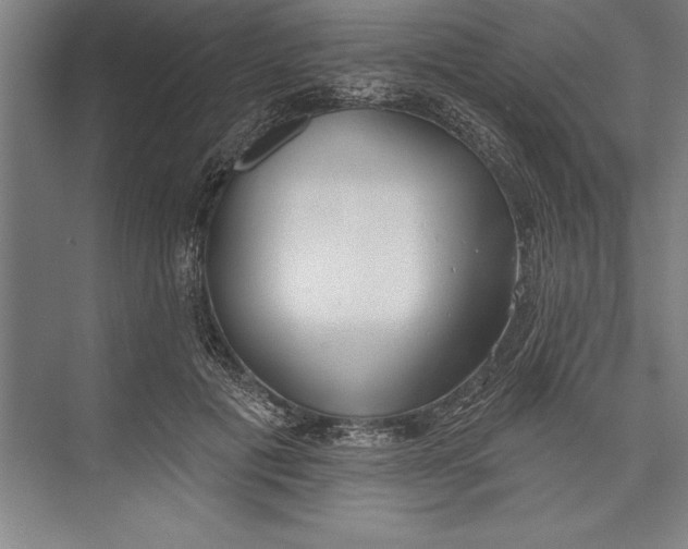 X0000074940601200609221707