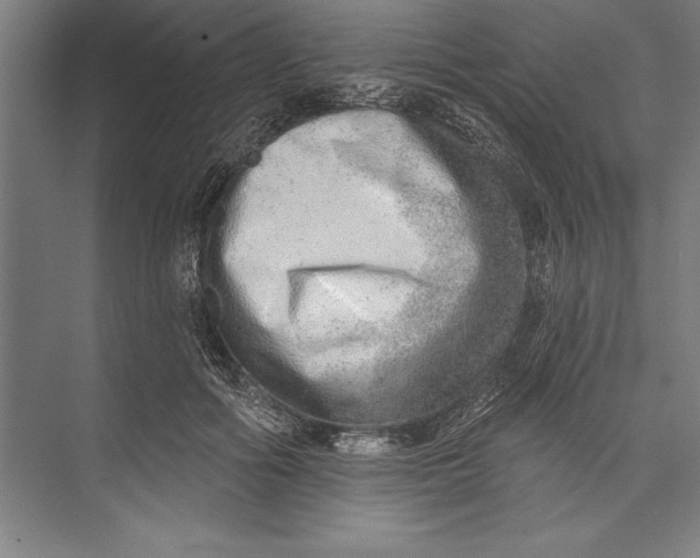 X0000074940602200609221707