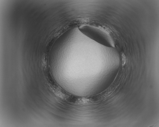 X0000074940607200609221707