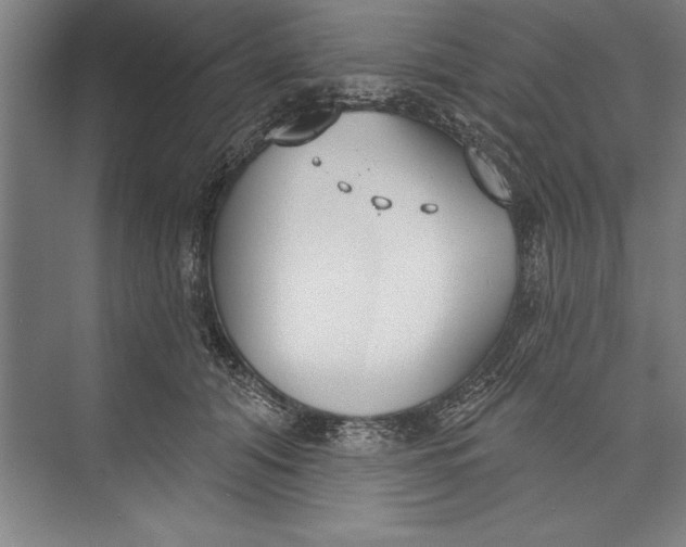 X0000074940608200609221707