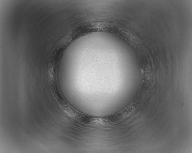 X0000074940611200609221707