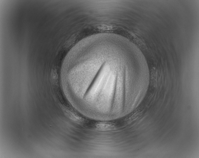 X0000074940614200609221707