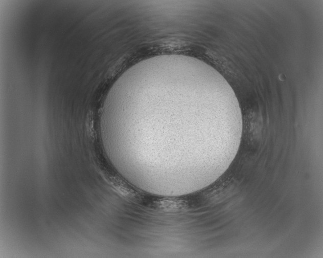 X0000074940615200609221707