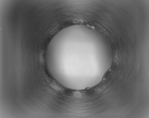 X0000074940616200609221706