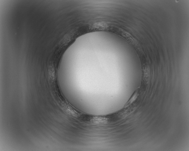 X0000074940617200609221706