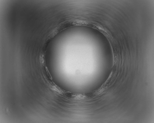 X0000074940621200609221706